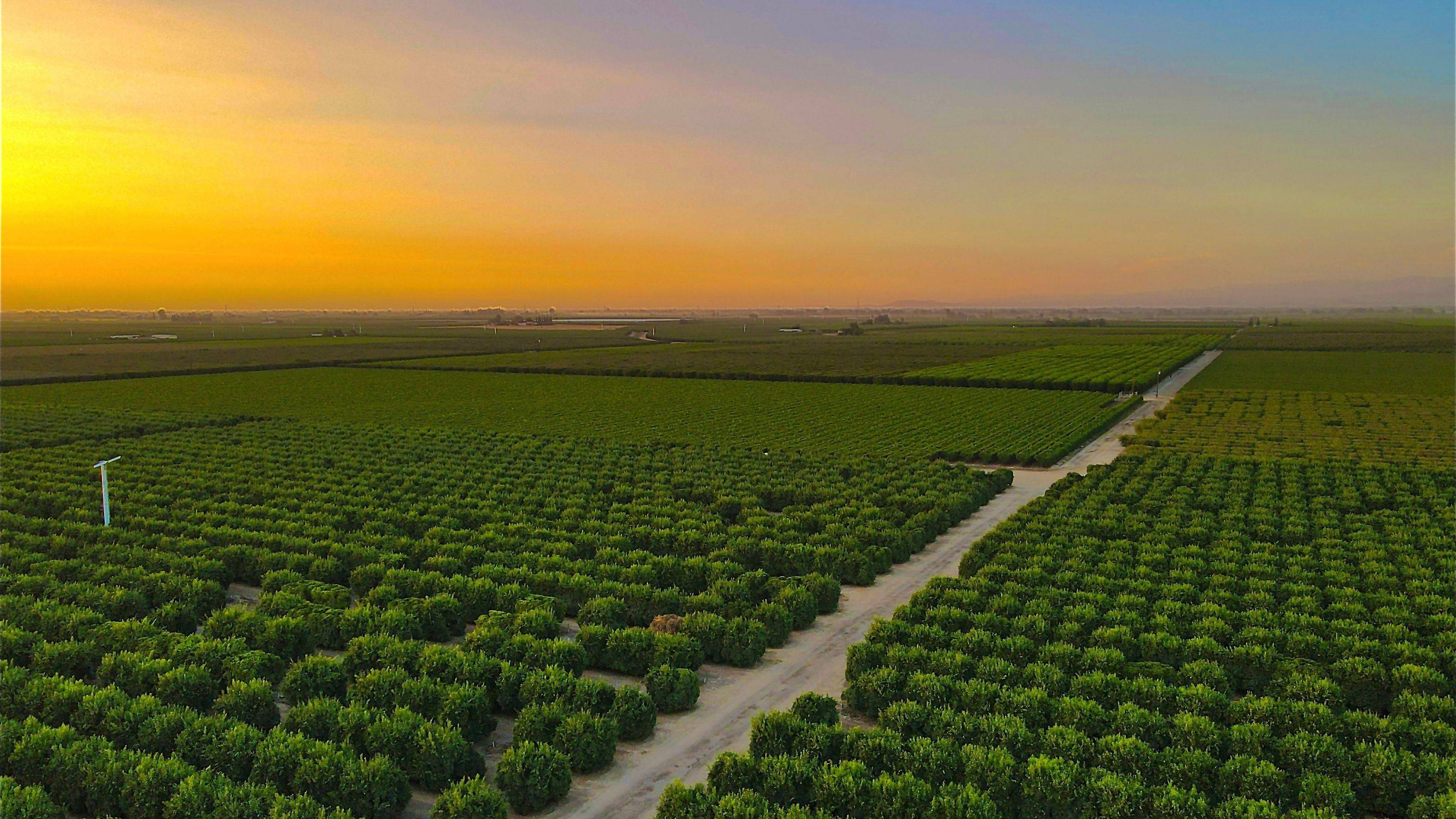 Aerial view of a farmland